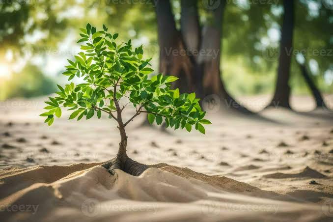 സ്വയം വളരുകയും മറ്റുള്ളവര്‍ക്ക് വളരാനിടം കൊടുക്കുകയും ചെയ്യുന്നവരാണ് ജീവിതത്തിനോട് ആദരവ് പുലര്‍ത്തുന്നവര്‍