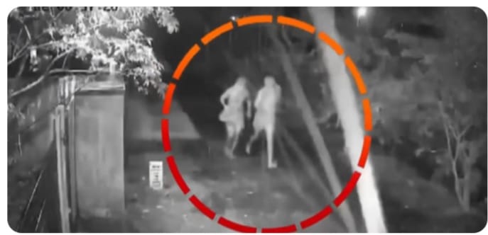 ആലപ്പുഴയെയും കൊച്ചിയെയും ഭീതിയിലാഴ്ത്തി കുറുവ സംഘം;വർഷം നീളുന്ന നിരീക്ഷണത്തിന് ശേഷം മോഷണം