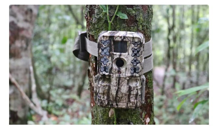 സംരക്ഷിതവനത്തിലെ നിരീക്ഷണ ക്യാമറകളിൽ സ്ത്രീകളുടെ സ്വകാര്യ ദൃശ്യങ്ങൾ; ക്യാമറ തകർത്ത് ഗ്രാമീണർ