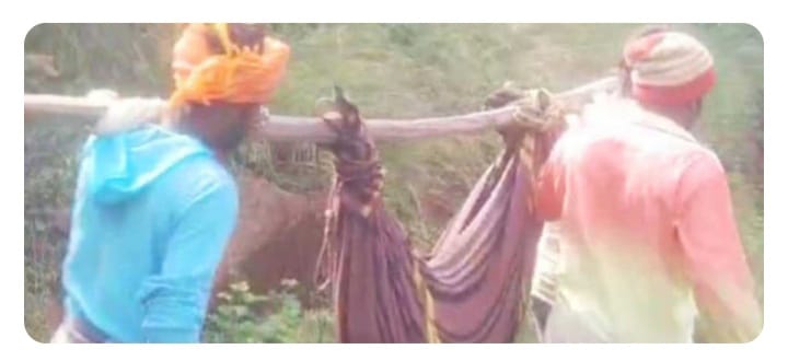 പാമ്പുകടിയേറ്റ പെൺകുട്ടിയെ തുണിത്തൊട്ടിലിൽ കിടത്തി കുന്നിറക്കി; വഴിമധ്യേ മരണംസംഭവിച്ചു