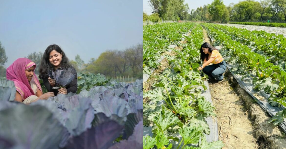 നമ്മുടെ ആഗ്രഹങ്ങള്‍ക്ക് വേണ്ടി നമുക്ക് നിരന്തരം പരിശ്രമിച്ചുകൊണ്ടേയിരിക്കാം