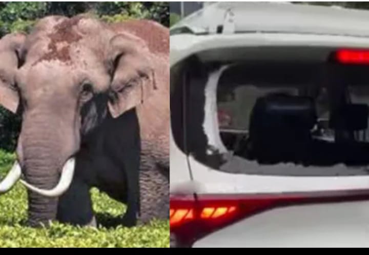 സിനിമാ പേരുകാരൻ’പടയപ്പ’യ്ക്ക് ‘സീരിയ’ലുകാരോട് കലിപ്പ്