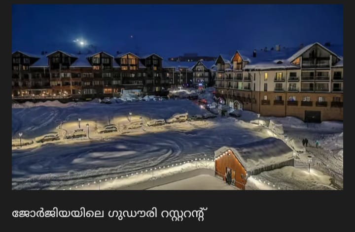 ജോർജിയയിലെ ഹോട്ടലിൽ 11 ഇന്ത്യൻ പൗരന്മാർ മരിച്ച നിലയിൽ; വിഷവാതകം ശ്വസിച്ചുള്ള മരണം കൊലപാതകമാണോയെന്നും അന്വേഷിക്കുന്നു