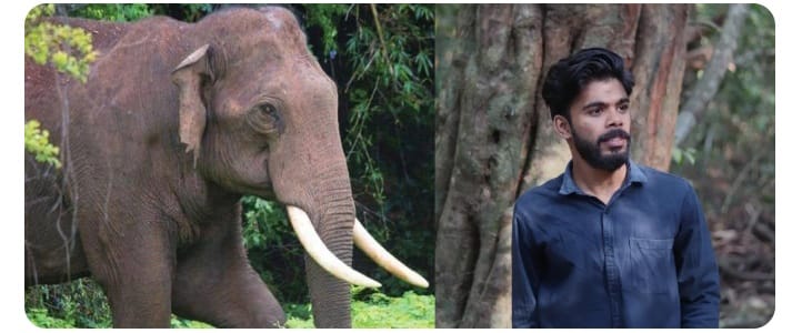 ഇടുക്കിയിൽ കാട്ടാന ആക്രമണത്തിൽ 22-കാരന് ദാരുണാന്ത്യം