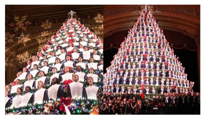 ലൈവായി പാട്ടു പാടുന്ന ക്രിസ്തുമസ് ട്രീകളോ? അമേരിക്കയിലെ ജീവനുള്ള സിങ്ങിങ് ട്രീ