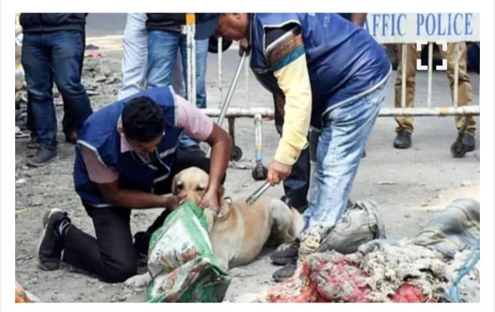 പ്രണയാഭ്യര്‍ഥന നിരസിച്ചു:സഹോദരന്റെ ഭാര്യയെ കൊന്ന് മൂന്ന് കഷണങ്ങളാക്കി കുപ്പയിലിട്ടു; യുവാവ് അറസ്റ്റില്‍