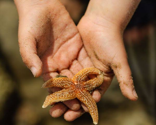 നിരന്തരമായ ചുവടുവെയ്പുകള്‍ പുതു വഴികളെ സൃഷ്ടിക്കുന്നു