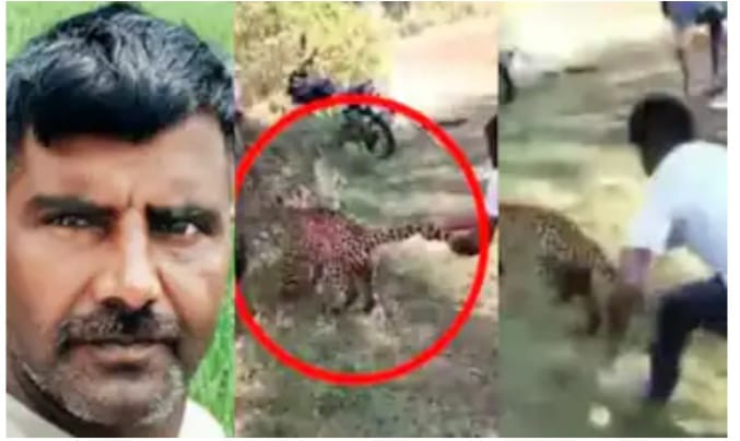 ‘പുലിവാല്’ പിടിച്ചാൽ ഇങ്ങനെ പിടിക്കണം; എന്നാലും ധൈര്യം ഒന്ന് വേറെ തന്നേ
