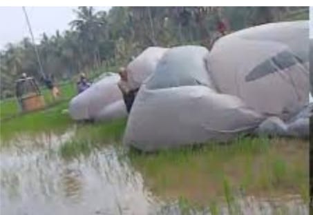 കൂറ്റൻ യാത്രാബലൂണിലെ ഇന്ധനം തീര്‍ന്നു പാടത്തേക്ക് ഇടിച്ചിറക്കി; യാത്രക്കാര്‍ സുരക്ഷിതര്‍