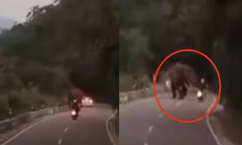 ഉദ്യോഗസ്ഥരുടെ മുന്നറിയിപ്പ് അവഗണിച്ച് ബൈക്ക് മുന്നോട്ടെടുത്ത ജർമ്മൻ പൗരനെ കാട്ടാന കൊലപ്പെടുത്തി; സംഭവം വാൽപ്പാറയിൽ