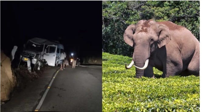 ഇടുക്കിയില്‍ വീണ്ടും പടയപ്പയുടെ ആക്രമണം; സിനിമാ ചിത്രീകരണത്തിനെത്തിയ ടെമ്പോ ട്രാവലര്‍ തകര്‍ത്തു