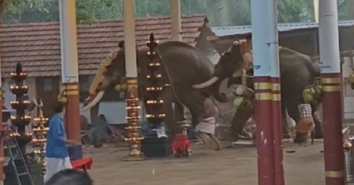 കോഴിക്കോട് ക്ഷേത്ര ഉത്സവത്തിനിടെ ആനകള്‍ ഇടഞ്ഞു; രണ്ട് സ്ത്രീകള്‍ക്ക് ദാരുണാന്ത്യം