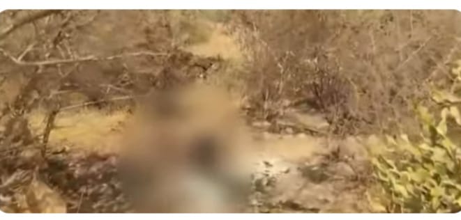 അന്യമതസ്ഥനെ പ്രണയിച്ച 20-കാരിയെ മരത്തിൽ കെട്ടിയിട്ട് പിതാവ് പെട്രോൾ ഒഴിച്ച് കത്തിച്ച് കൊലപ്പെടുത്തി