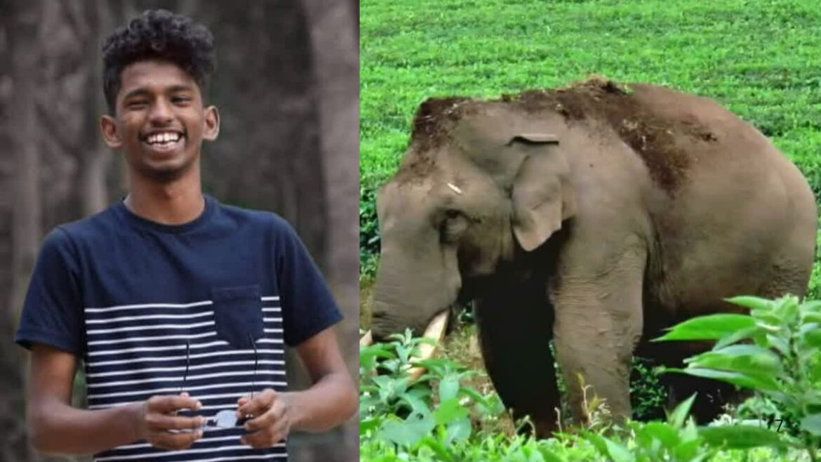 കാട്ടാനയുടെ ചവിട്ടേറ്റ് മരിച്ച അലൻ്റെ കുടുംബത്തിന് നഷ്ടപരിഹാരം നൽകണം: പിസിഐ കേരളാ സ്റ്റേറ്റ്