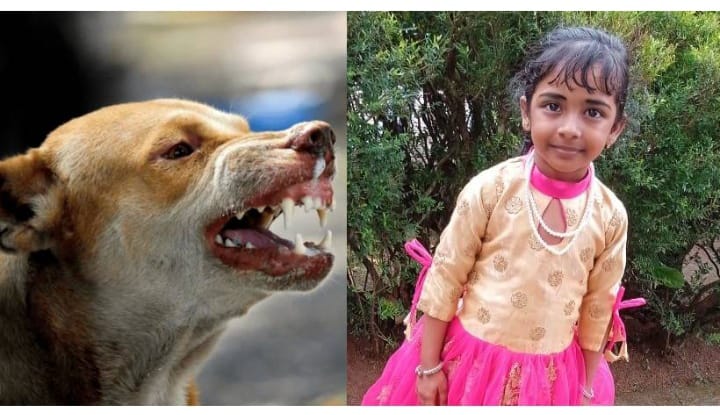 പ്രതിരോധ വാക്സിൻ എടുത്തിട്ടും പേവിഷബാധ ഉണ്ടായ കുട്ടി മരിച്ചു