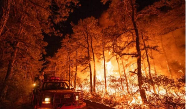 ന്യൂജേഴ്‌സിയില്‍ കാട്ടുതീ; 1200 ഏക്കര്‍ വനപ്രദേശം കത്തിനശിച്ചു