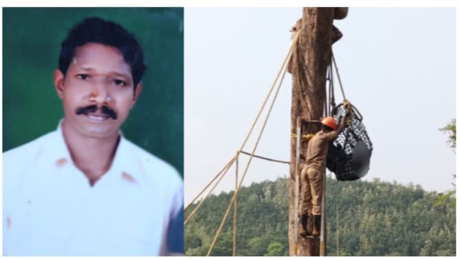 മുറിച്ച കൊമ്പ് കാലിൽ തുളച്ചു കയറി; പാലക്കാട് തൊഴിലാളി മരത്തിന് മുകളിലിരുന്ന് രക്തം വാർന്ന് മരിച്ചു