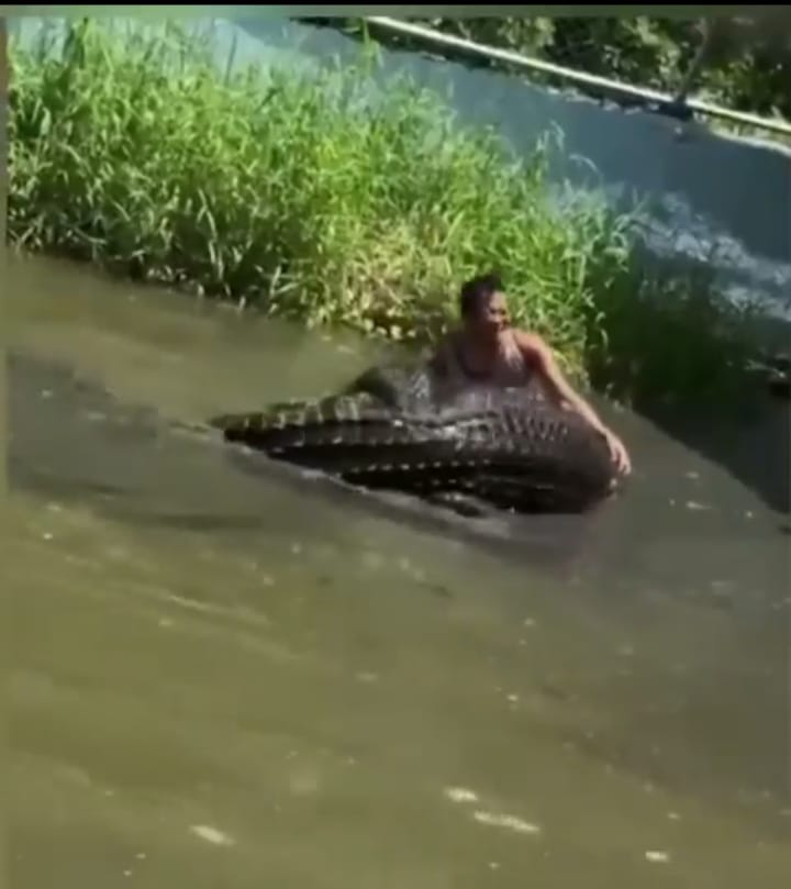 വൈറൽ വീഡിയോ: വെറുതെ ഒരു സെൽഫിക്കുവേണ്ടി കെട്ടിപ്പിടിച്ചത് ജീവനുള്ള മുതലയെ! പിന്നീട് സംഭവിച്ചത് കാണുക