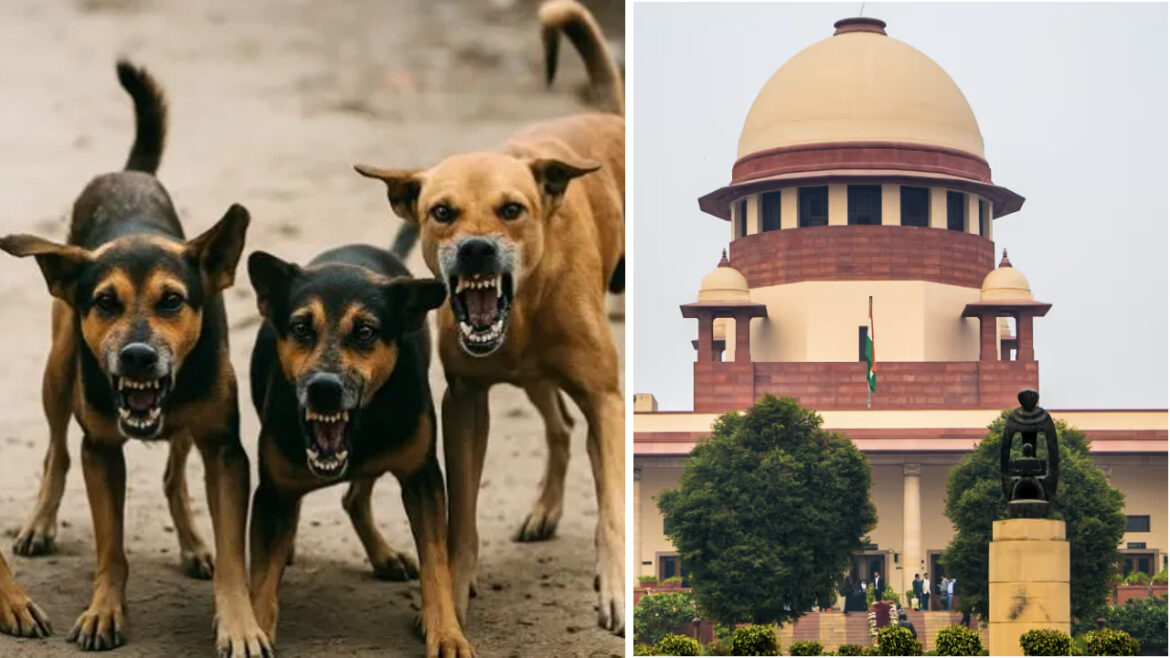പൊതുസ്ഥലങ്ങളില്‍ അലഞ്ഞുതിരിയുന്ന നായ്‌ക്കളെയും കന്നുകാലികളെയും നീക്കം ചെയ്യാൻ സുപ്രീം കോടതി ഉത്തരവ്