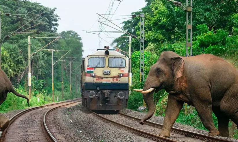 ആനക്കൂട്ടത്തെ ഇടിച്ച്‌ രാജധാനി എക്സ്പ്രസ് പാളം തെറ്റി; എട്ട് ആനകള്‍ ചരിഞ്ഞു