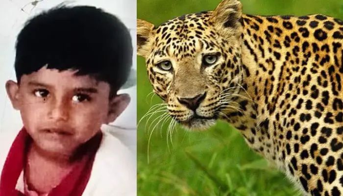 വാല്‍പ്പാറയില്‍ വീട്ടുമുറ്റത്ത് കളിച്ചുകൊണ്ടിരുന്ന നാല് വയസുകാരനെ പുലി കടിച്ചു കൊന്നു