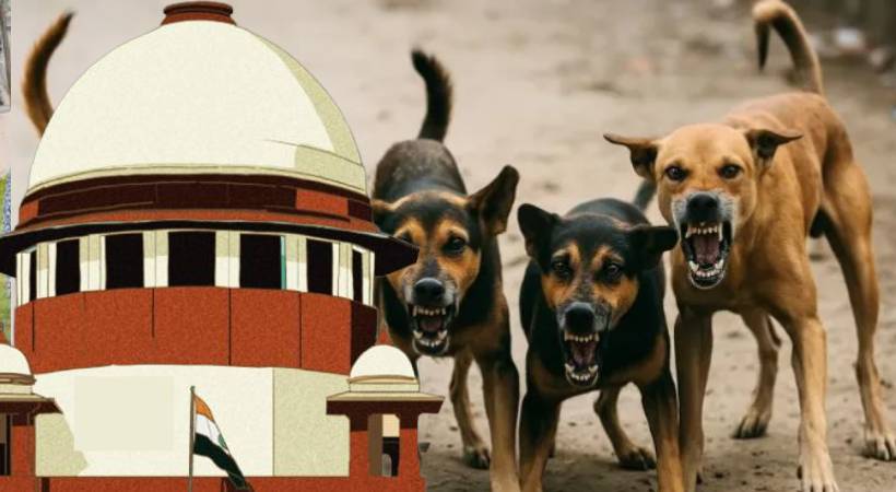 നായയുടെ കടിയേറ്റ് മരിച്ചാൽ സംസ്ഥാനങ്ങൾക്ക് കനത്ത പിഴ ചുമത്തും: മുന്നറിയിപ്പുമായി സുപ്രീം കോടതി 