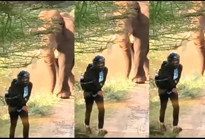 ഒറ്റയാന്‍റ മുന്നിലകപ്പെട്ട ബൈക്ക് യാത്രക്കാരന്‍ അത്ഭുതകരമായി രക്ഷപ്പെട്ടു; സംഭവം മറയൂരില്‍