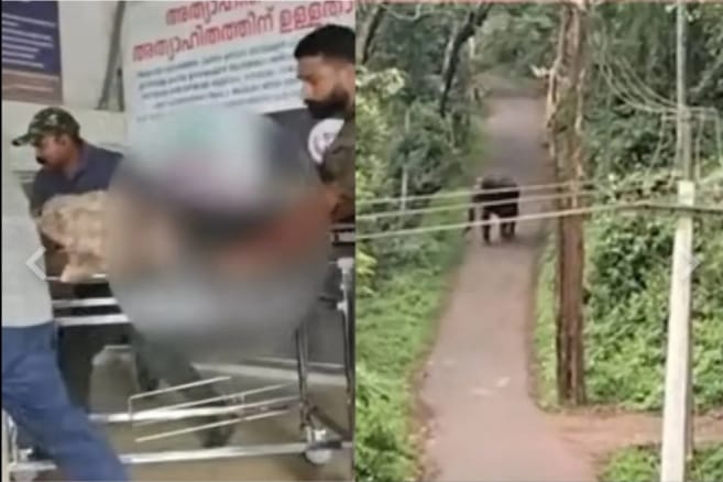 കാട്ടാന ആക്രമണത്തില്‍ തൊഴിലാളി കൊല്ലപ്പെട്ടു;ആശുപത്രിക്ക് മുന്നില്‍ പ്രതിഷേധം