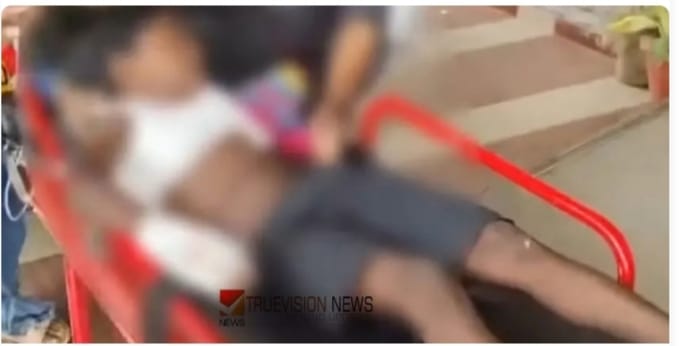 ഇടുക്കിയില്‍ കാട്ടുപോത്തിന്റെ ആക്രമണം;എട്ട് വയസ്സുകാരന് പരിക്ക്