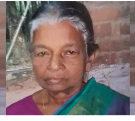 തൊഴിലുറപ്പ് ജോലിക്ക് പോകുന്ന വഴി കാട്ടാനയുടെ ആക്രമണത്തില് വയോധിക കൊല്ലപ്പെട്ടു